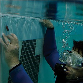 american leak detection diver checking for pool leaks in palm beach